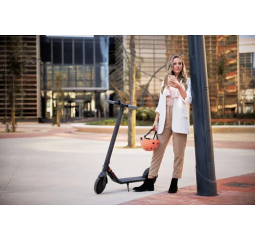 Электросамокат Ninebot KickScooter E22E Black